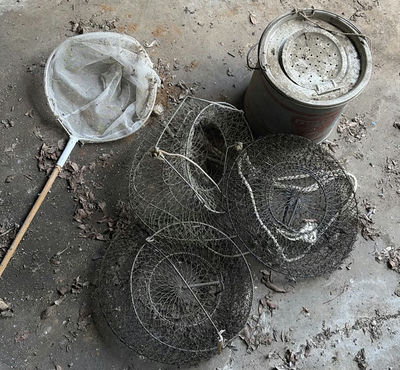 Assorted round wire mesh traps and a landing net - Image 1 of 4