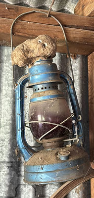 Vintage lantern collection (Coleman and blue metal lamps) - Image 1 of 8