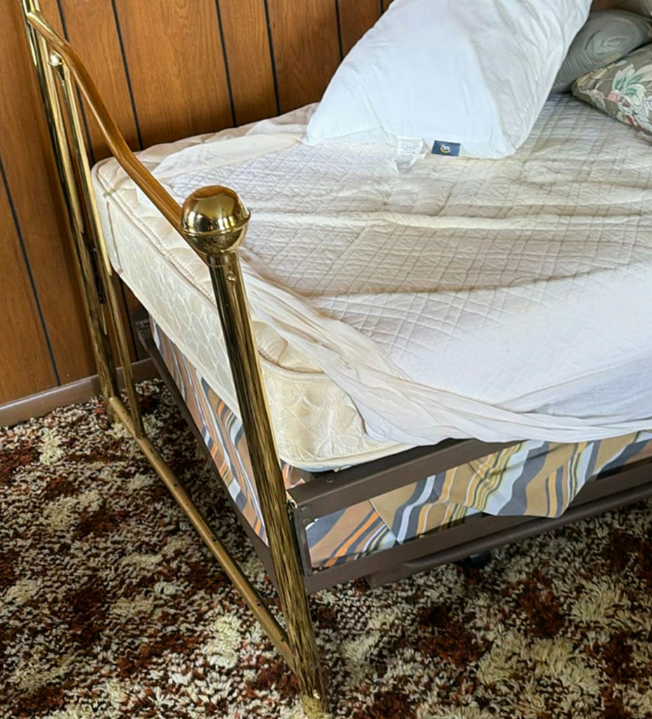 Brass daybed frame with mattress and pillows - image 2 of 6